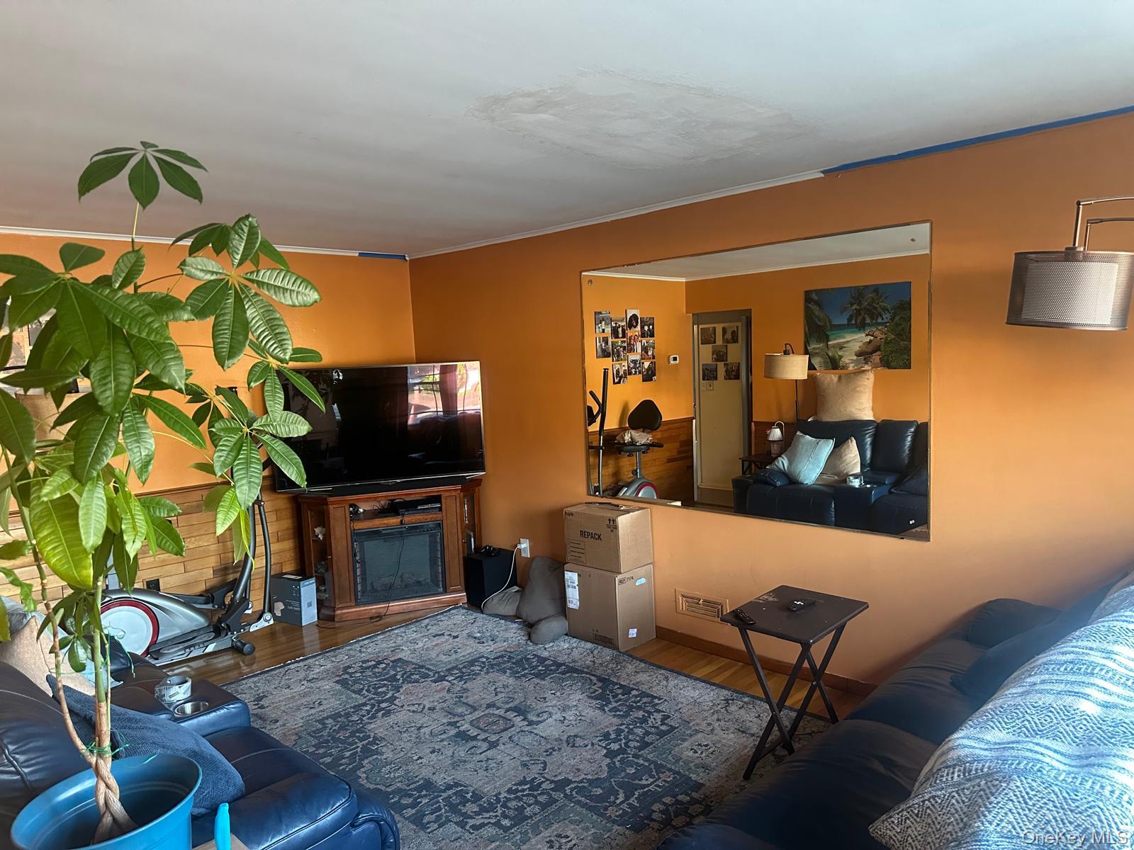 11516 Springfield Boulevard, Unit 1 photo 5