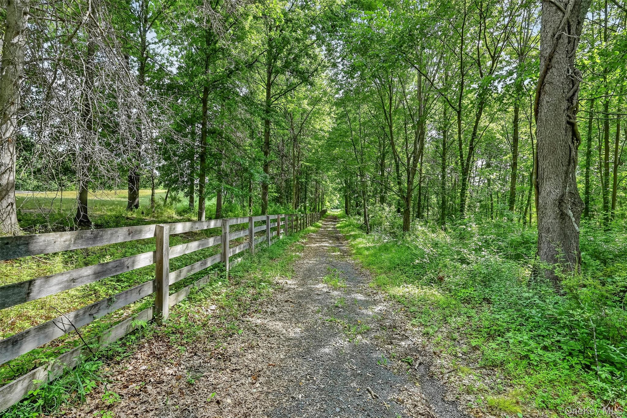 123 Collabar Road – For Sale photo 50