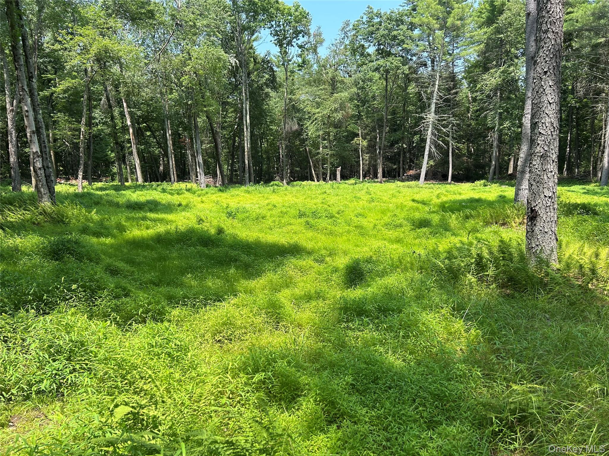 Geba Drive – For Sale photo 2
