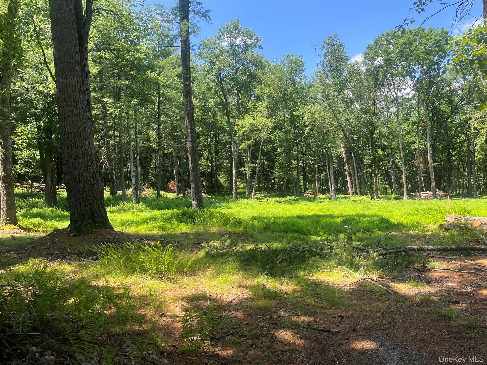 Geba Drive – For Sale