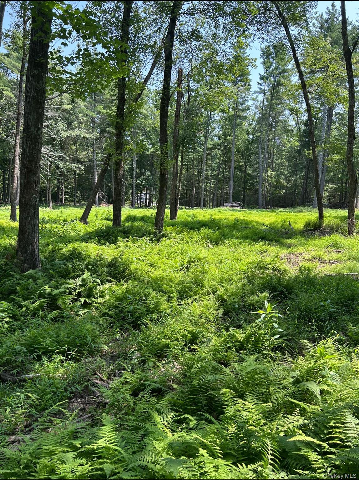 Geba Drive – For Sale photo 10