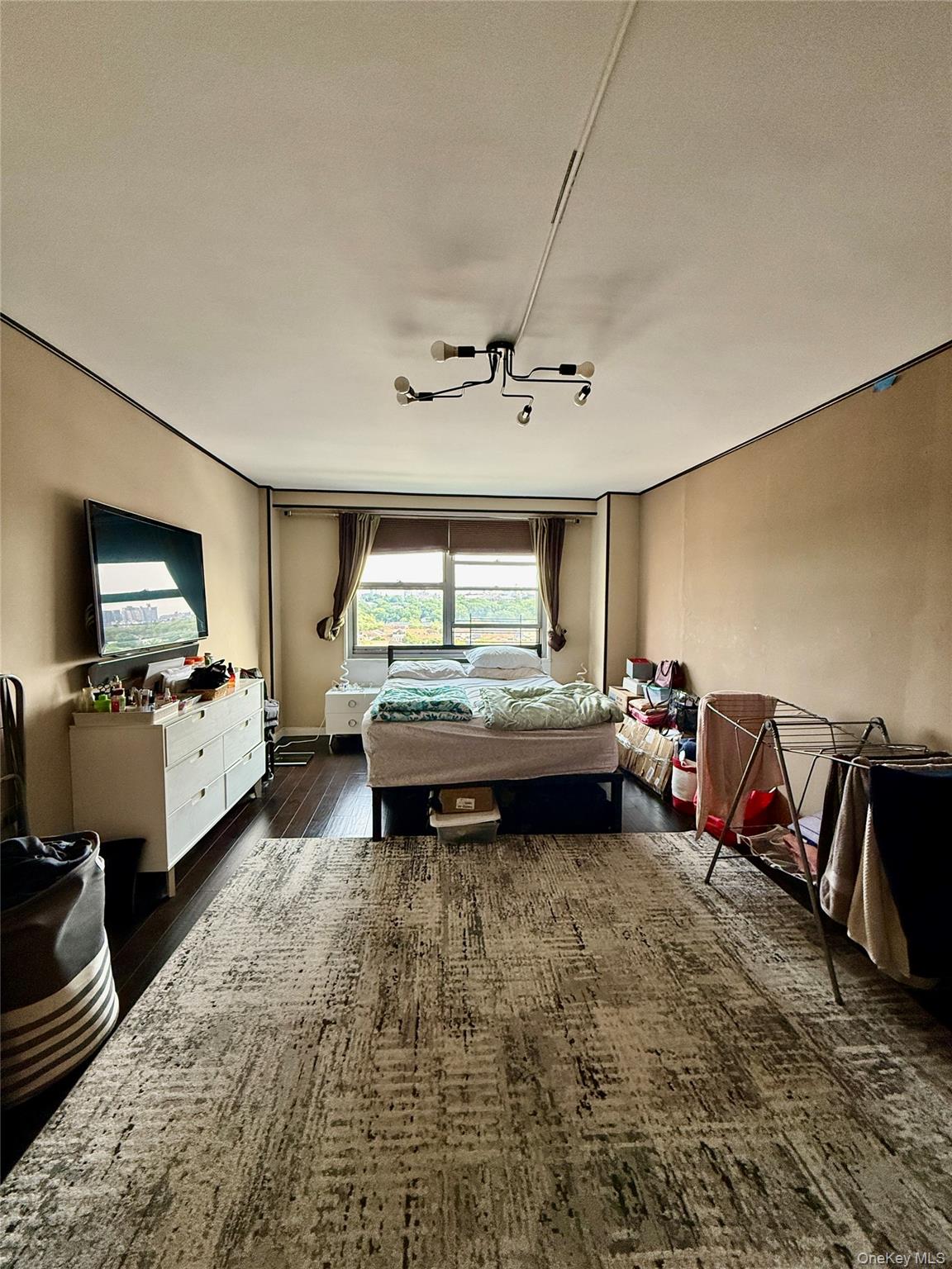 61-20 Grand Central Parkway, Unit B 1103 photo 19
