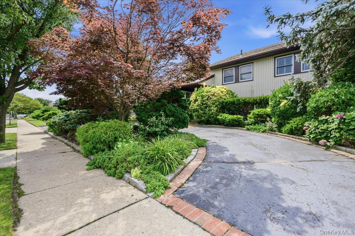 1417 Park Street – For Sale photo 3