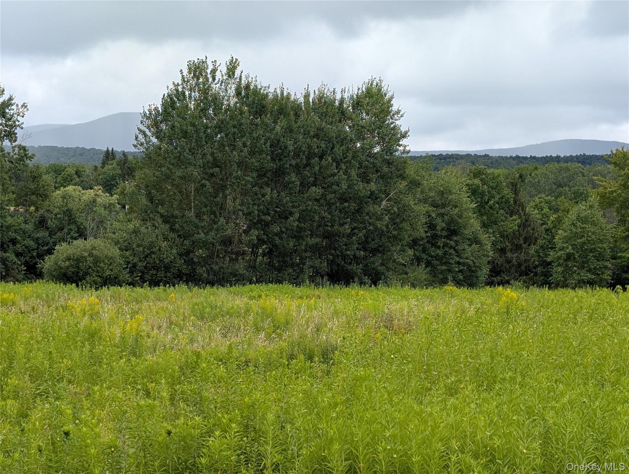 Hubbell Hill Road – For Sale photo 16