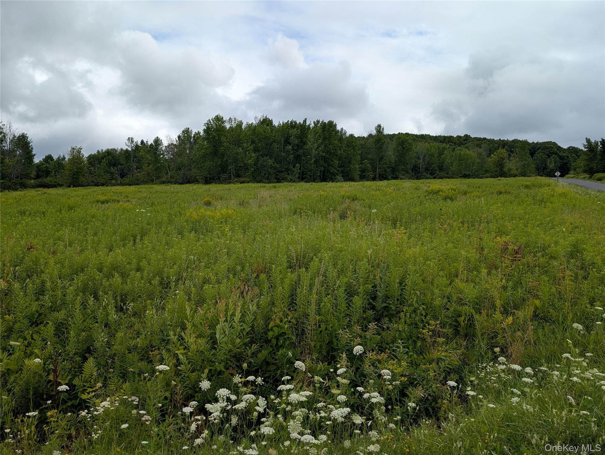 Hubbell Hill Road – For Sale photo 23