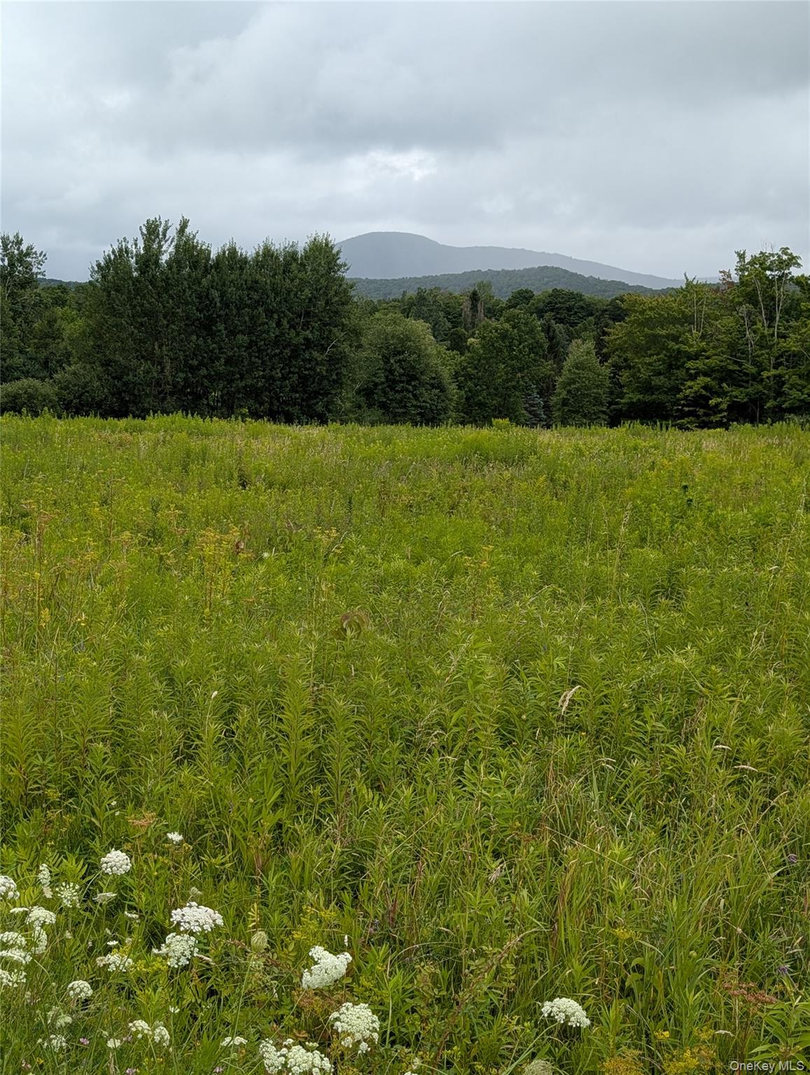 Hubbell Hill Road – For Sale photo 19