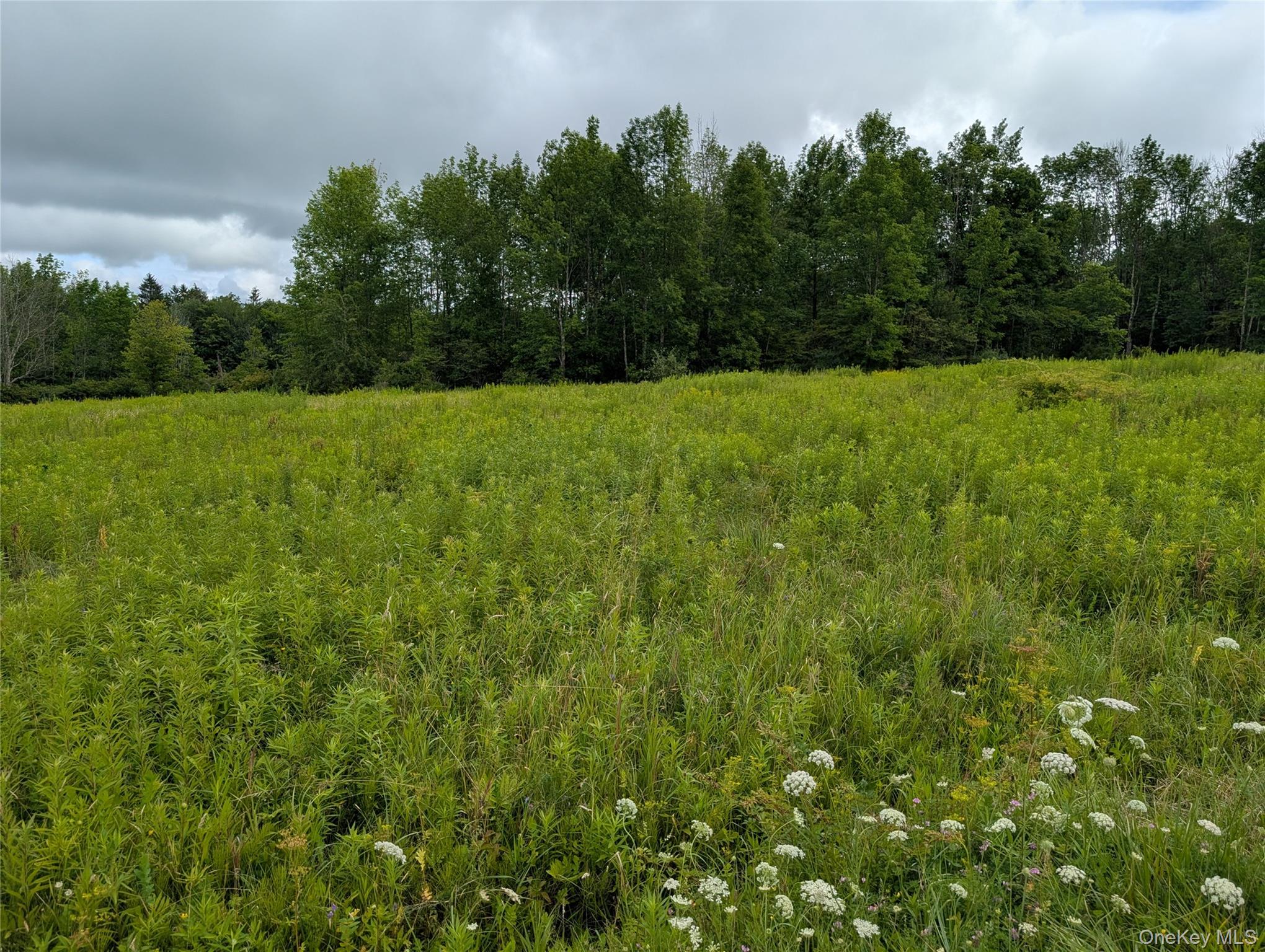 Hubbell Hill Road – For Sale photo 21