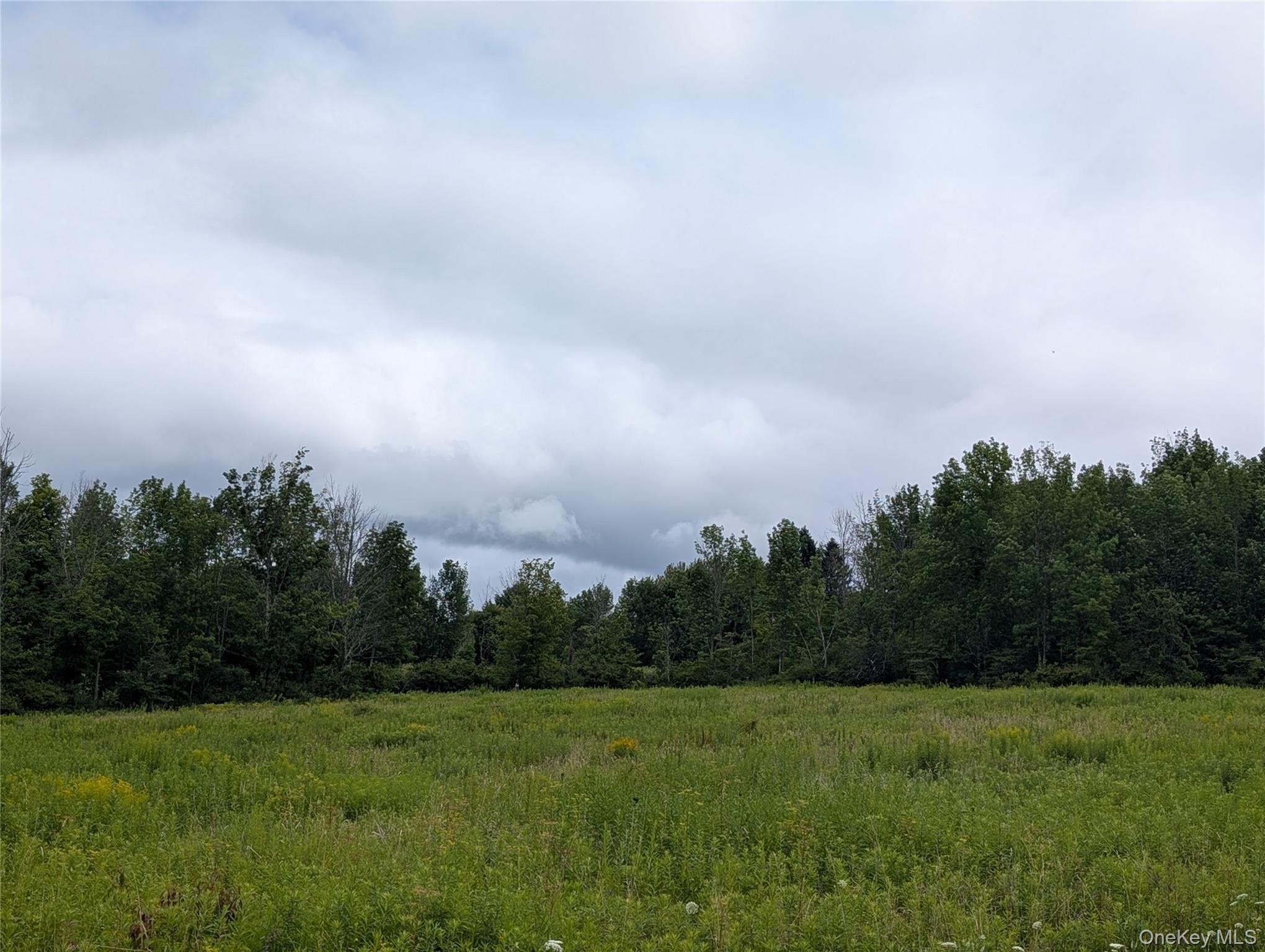 Hubbell Hill Road – For Sale photo 11
