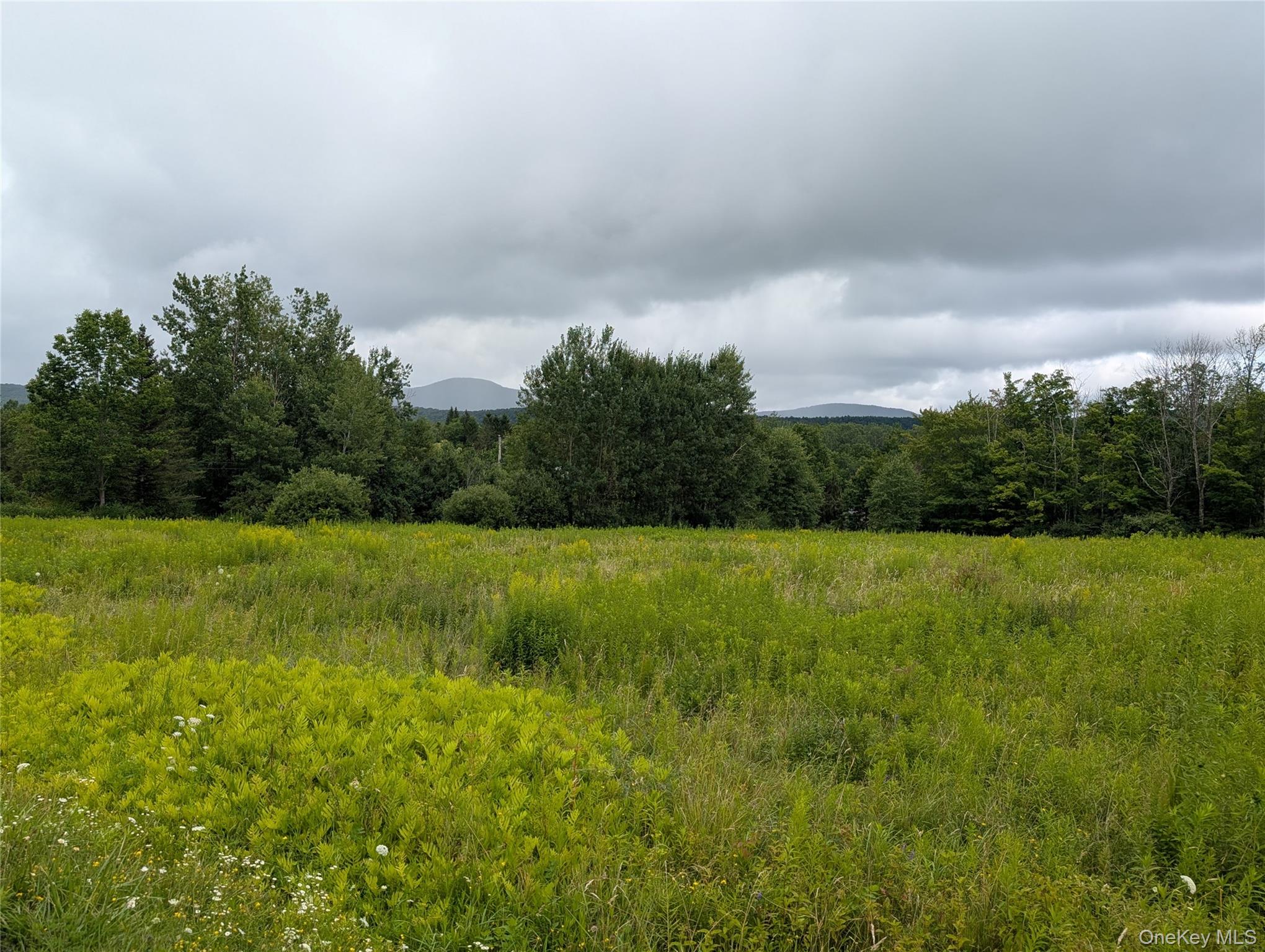 Hubbell Hill Road – For Sale photo 15