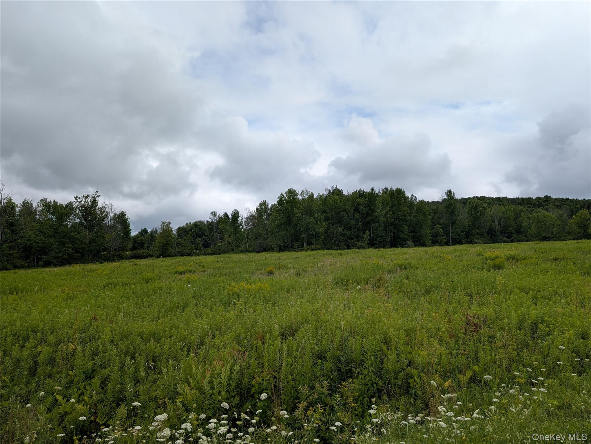 Hubbell Hill Road – For Sale photo 25