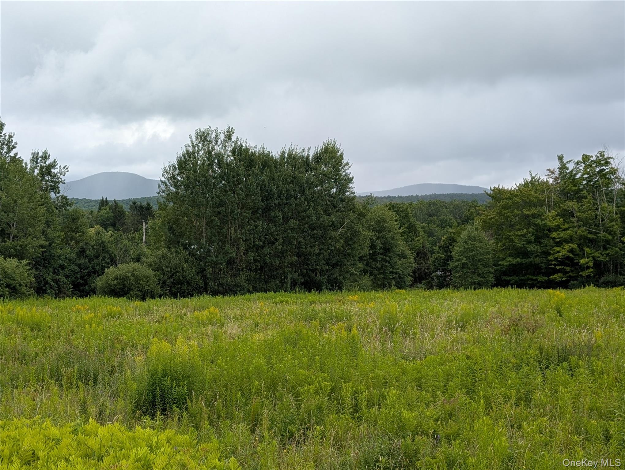 Hubbell Hill Road – For Sale photo 22