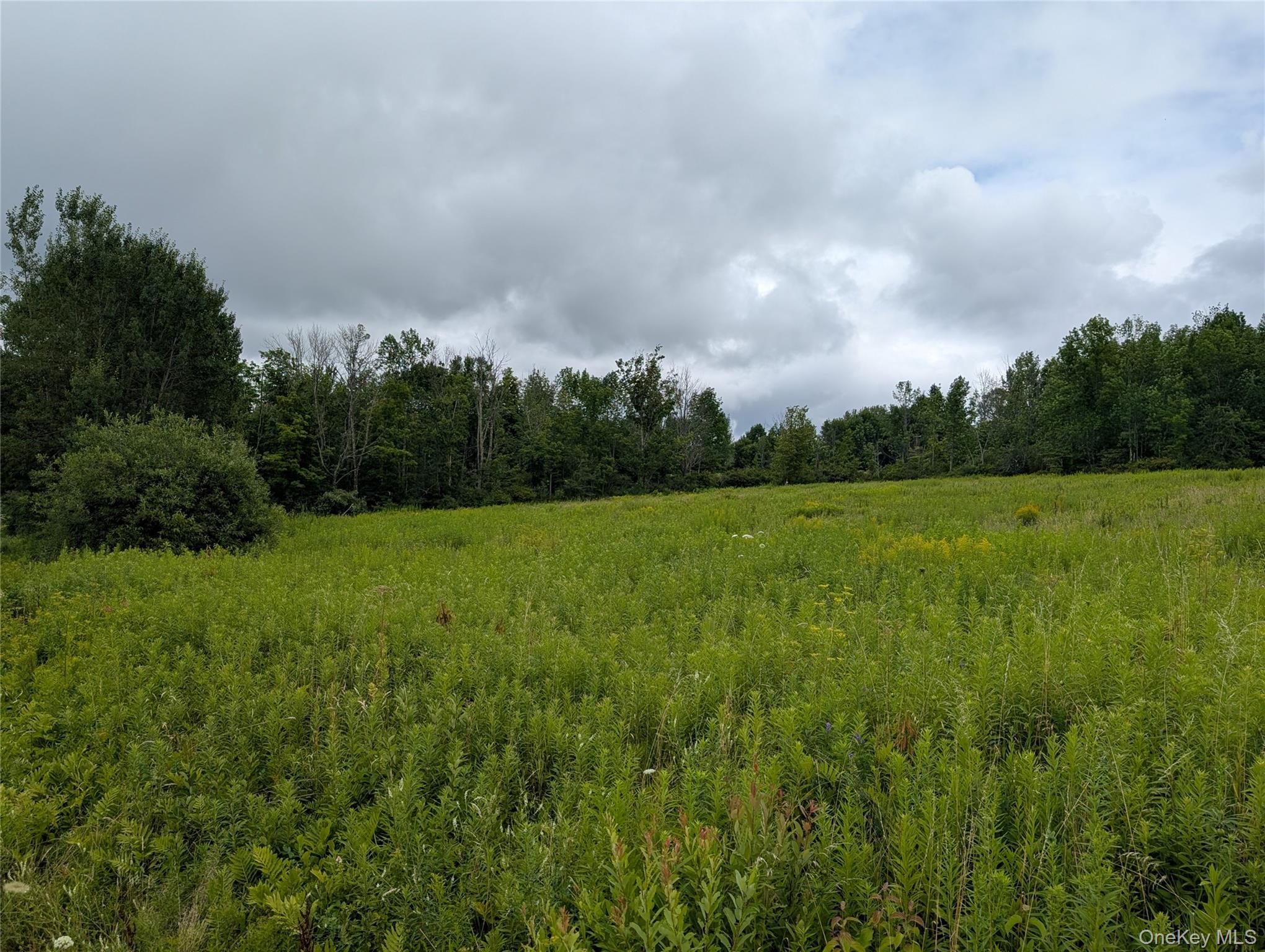 Hubbell Hill Road – For Sale photo 24