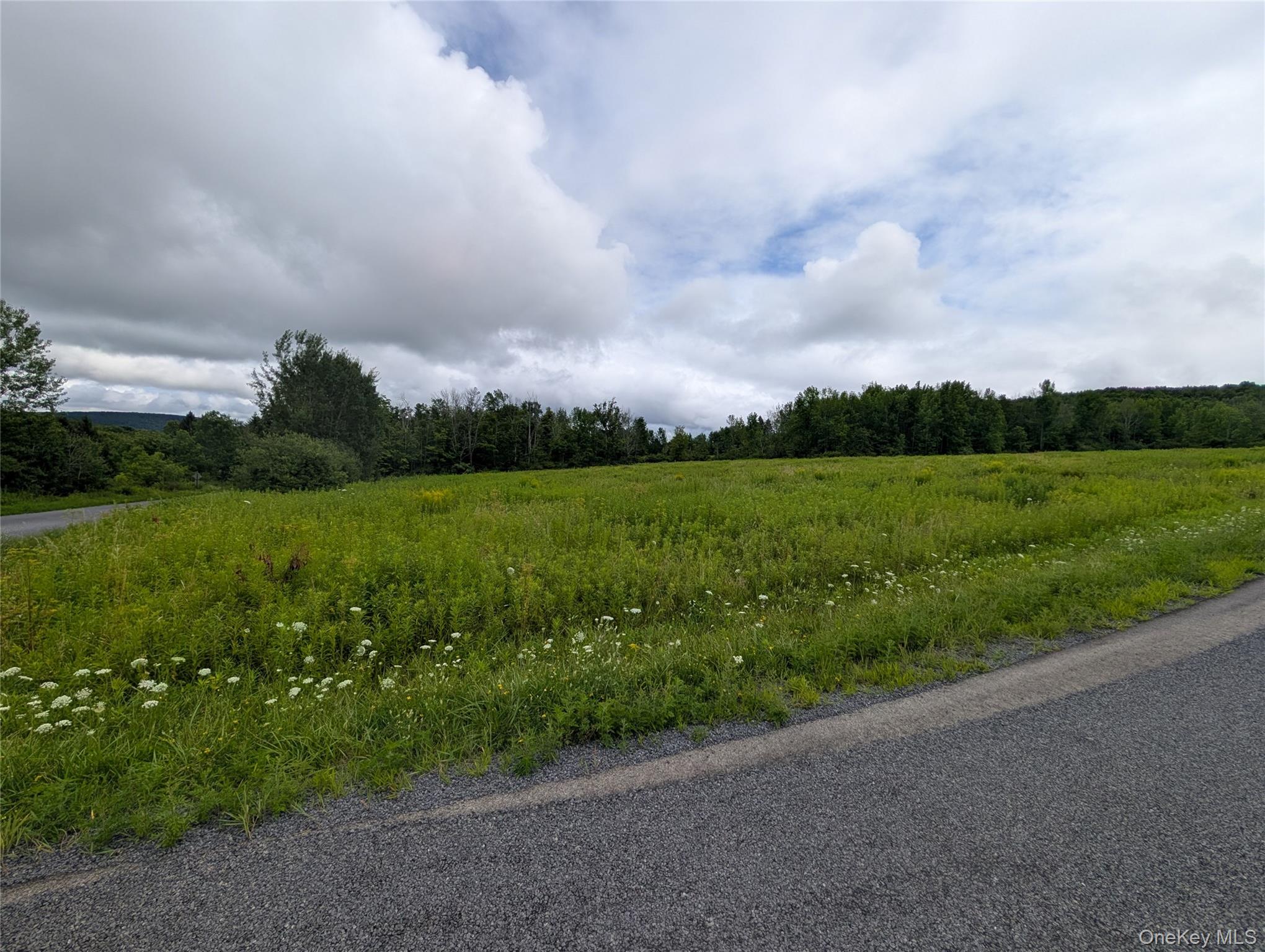 Hubbell Hill Road – For Sale photo 10