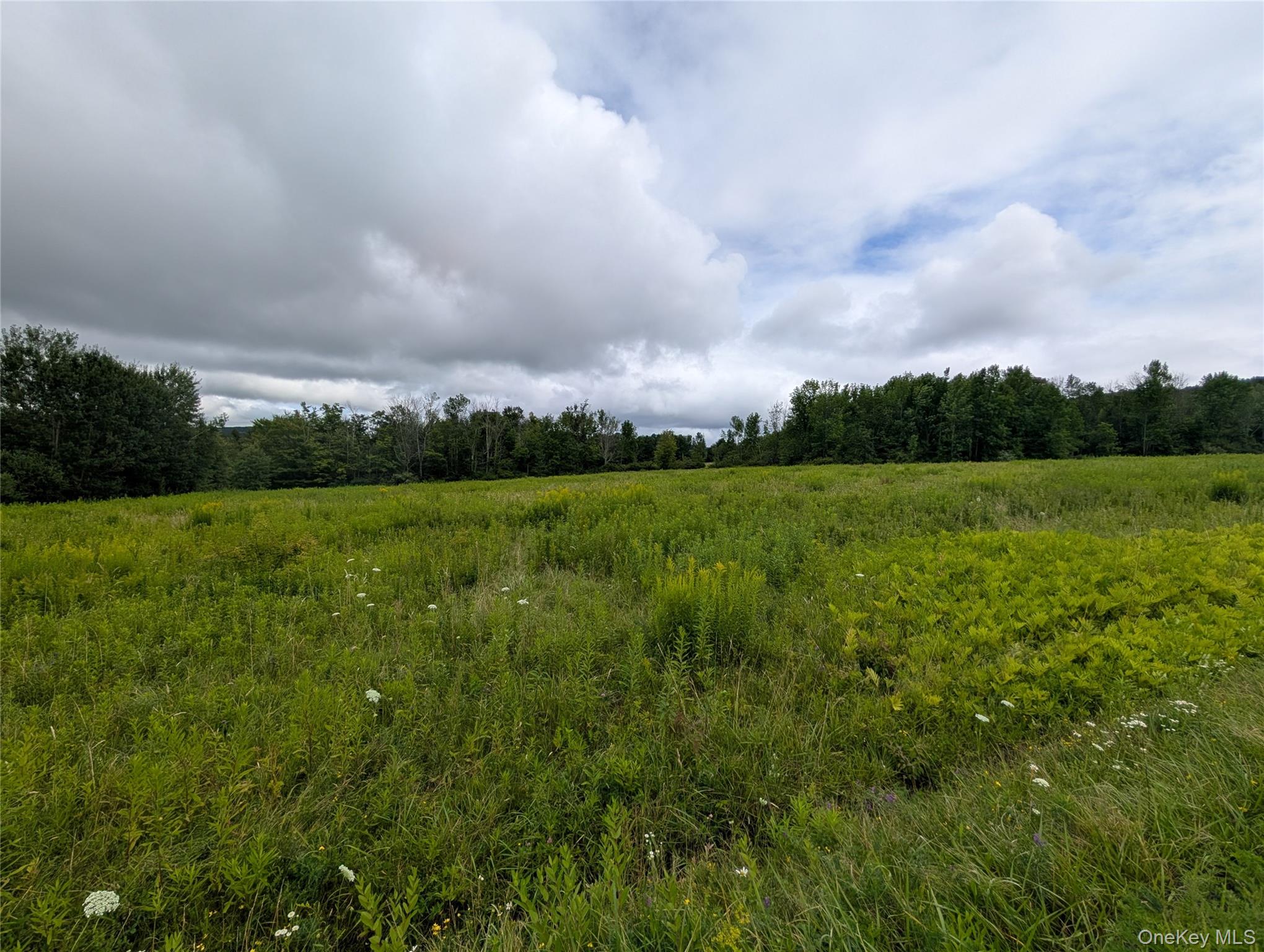 Hubbell Hill Road – For Sale photo 13