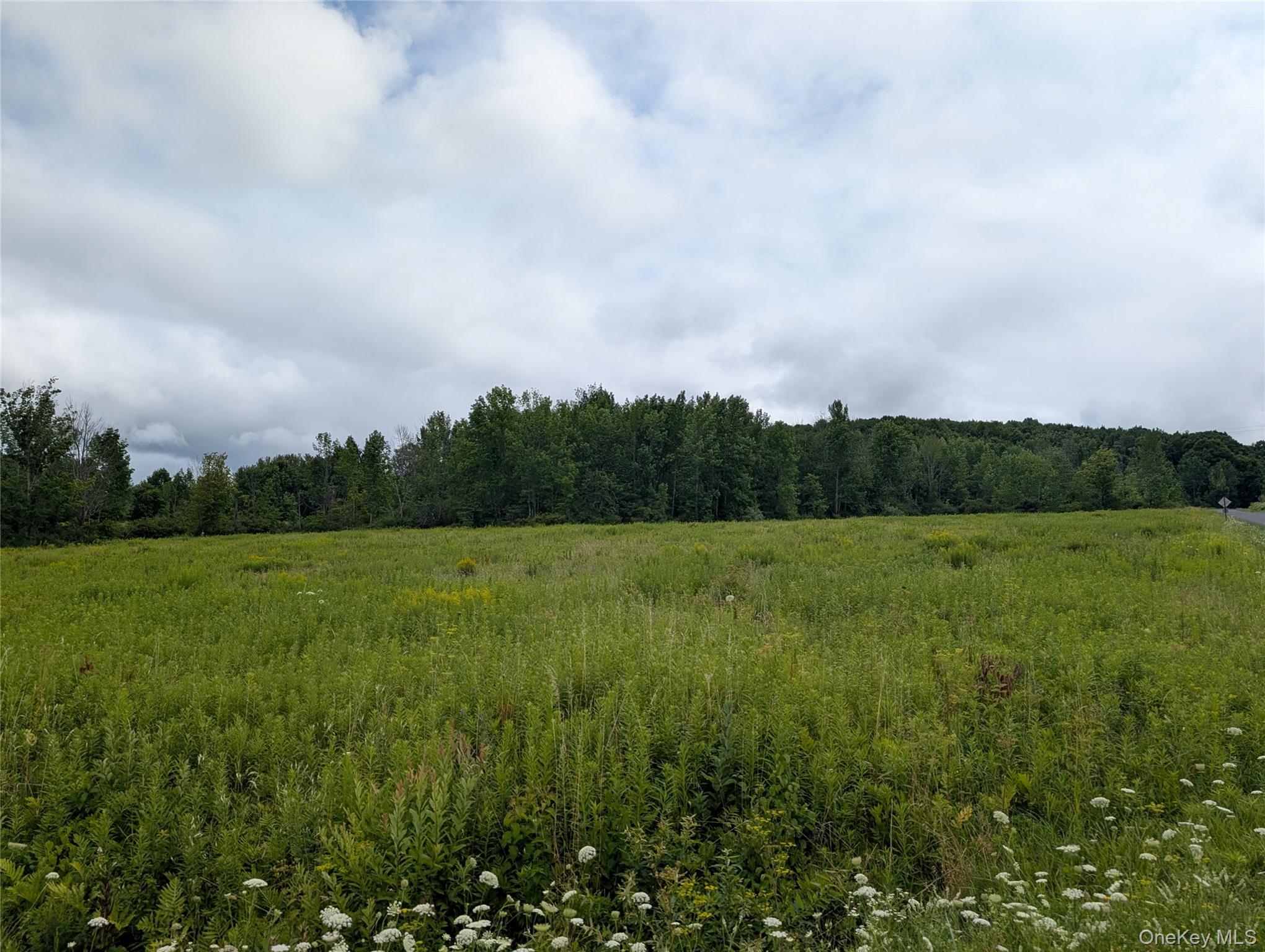Hubbell Hill Road – For Sale photo 12