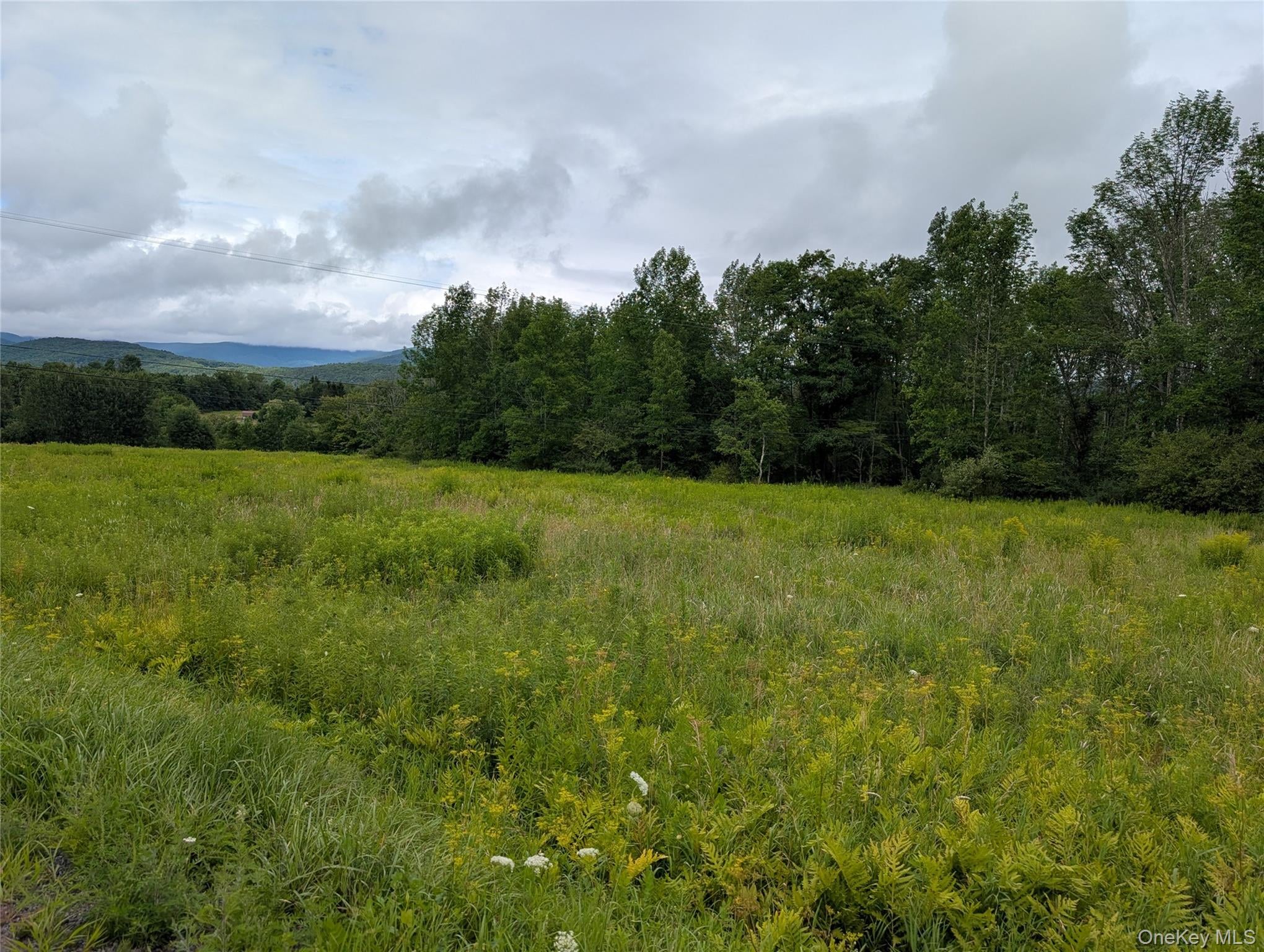 Hubbell Hill Road – For Sale photo 8