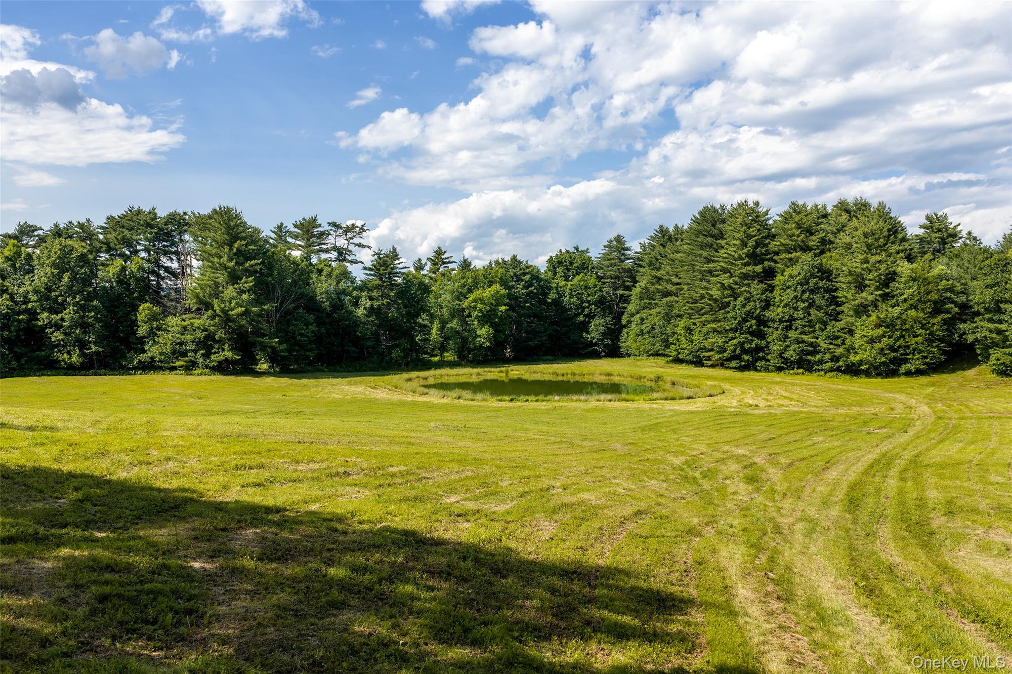 1045 Covered Bridge Road – For Sale photo 50