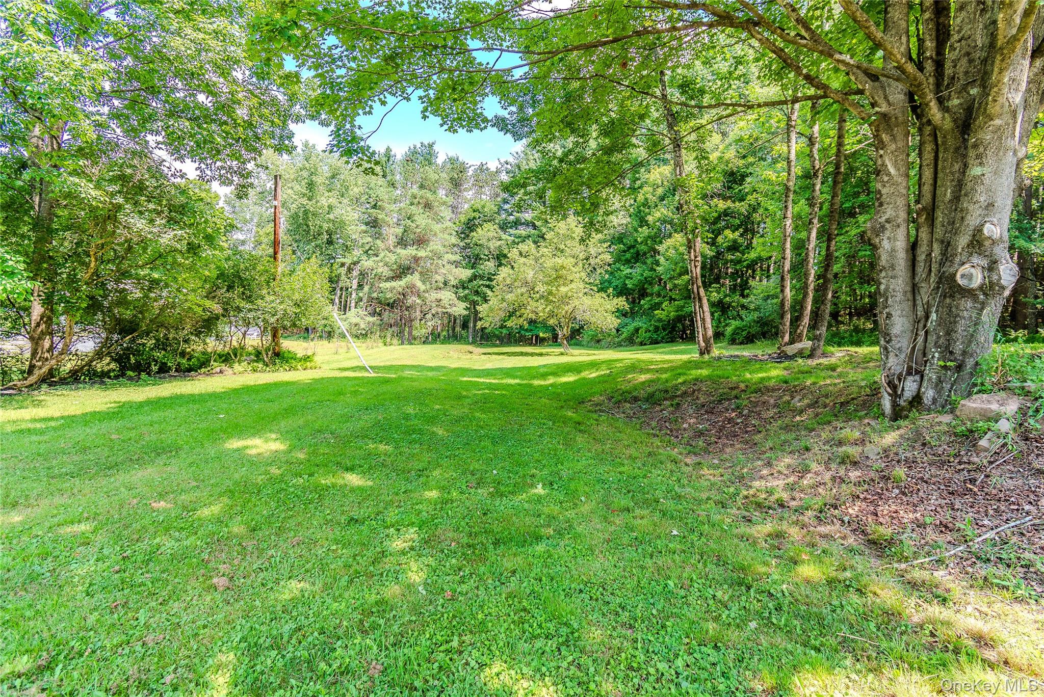 63 Cape Road – For Sale photo 41