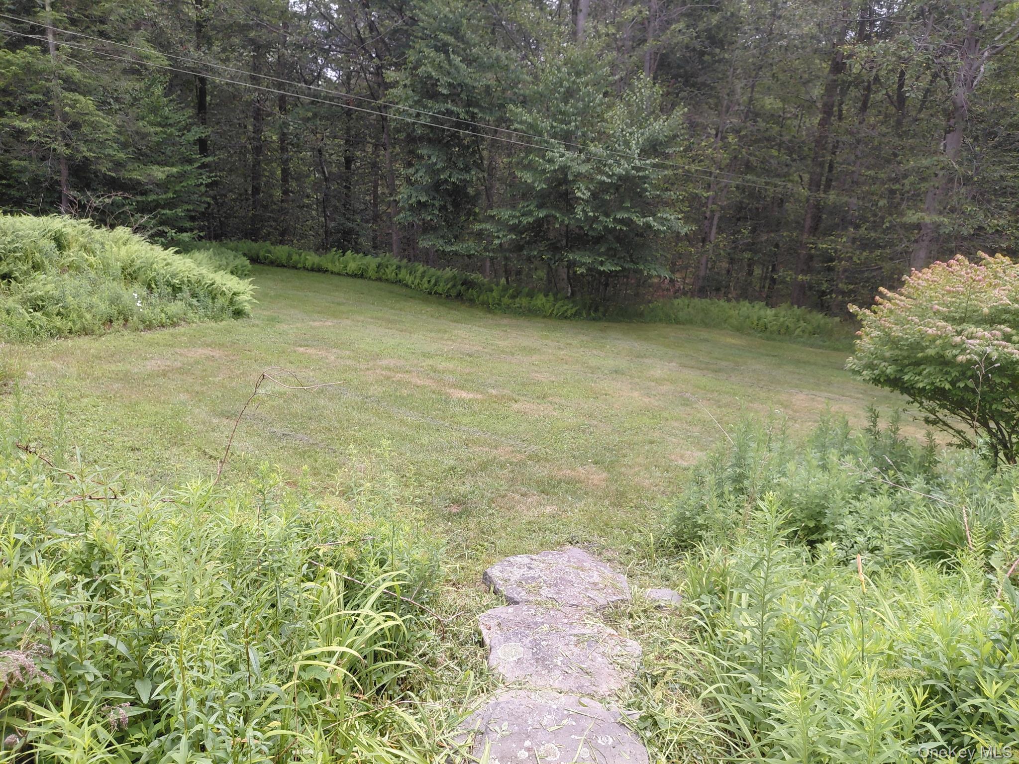 6218 State Route 55 – For Sale photo 2
