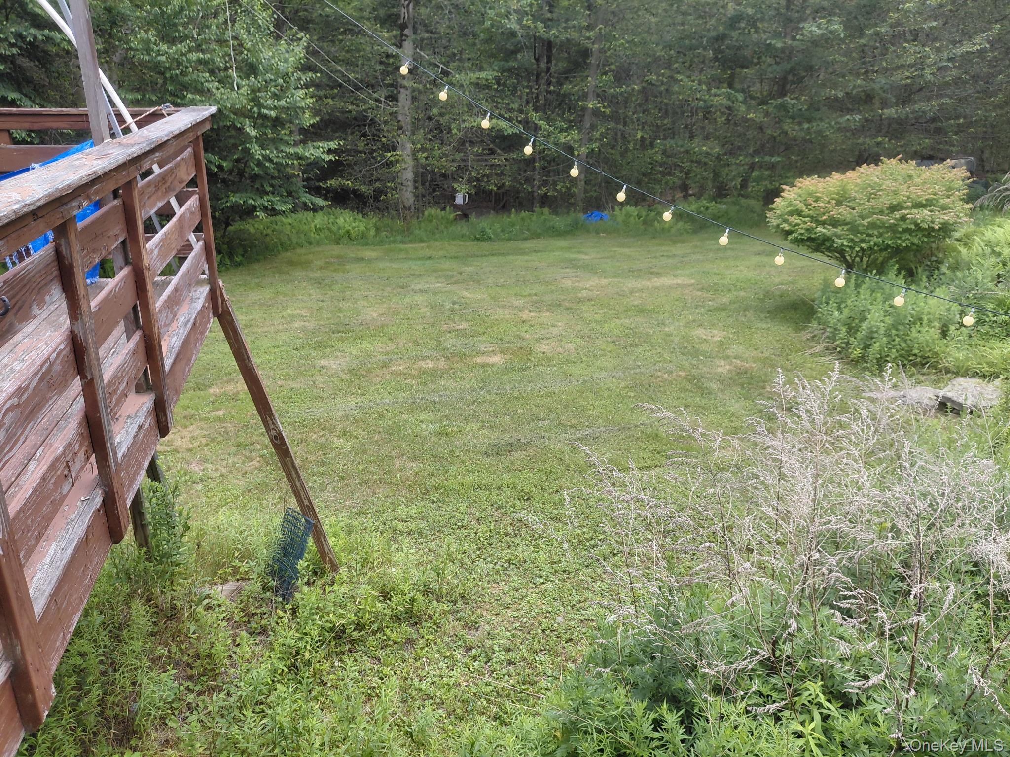 6218 State Route 55 – For Sale photo 3
