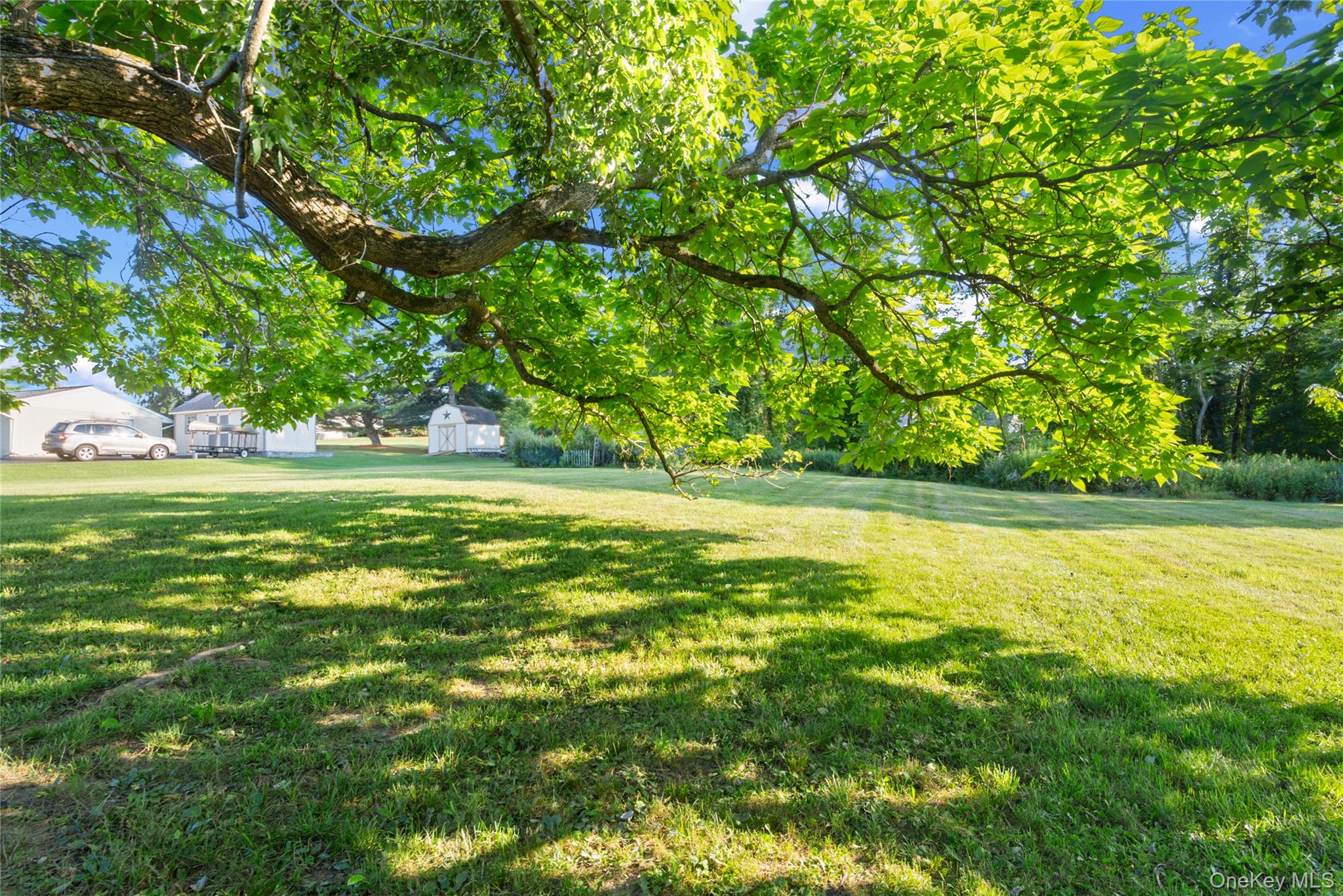 51 Mills Road – For Sale photo 25