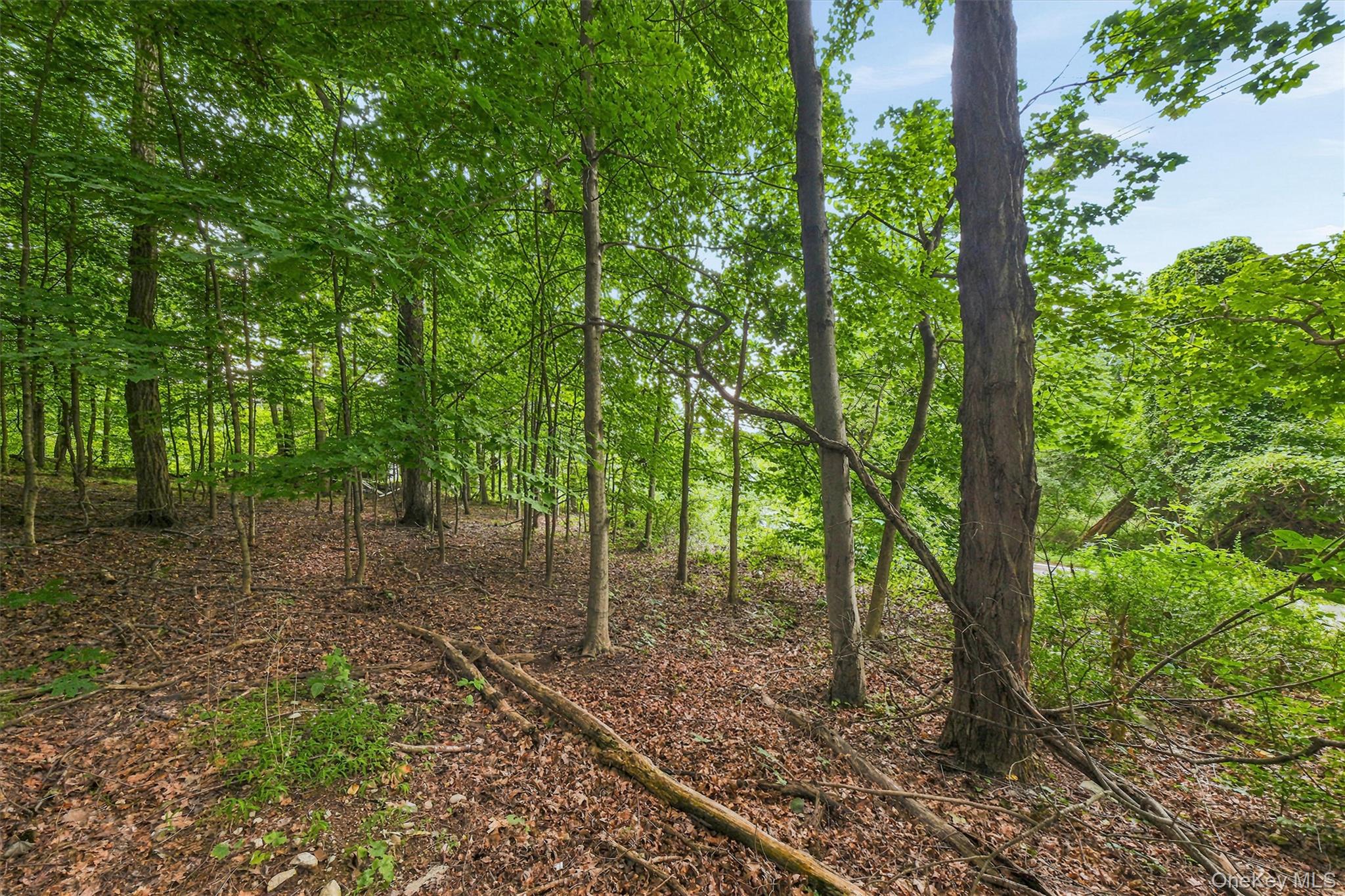 Brewer Road – For Sale photo 4