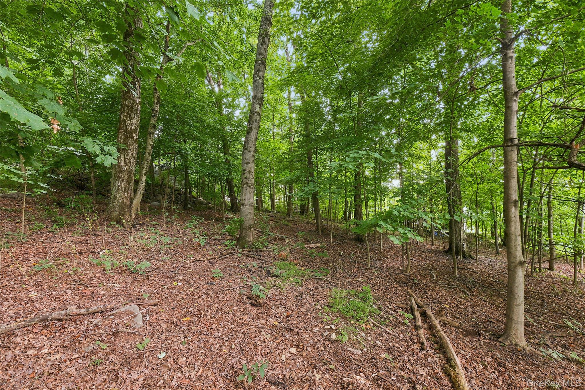 Brewer Road – For Sale photo 3