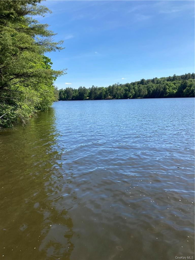 Plank Road  Forestburg New York – For Sale