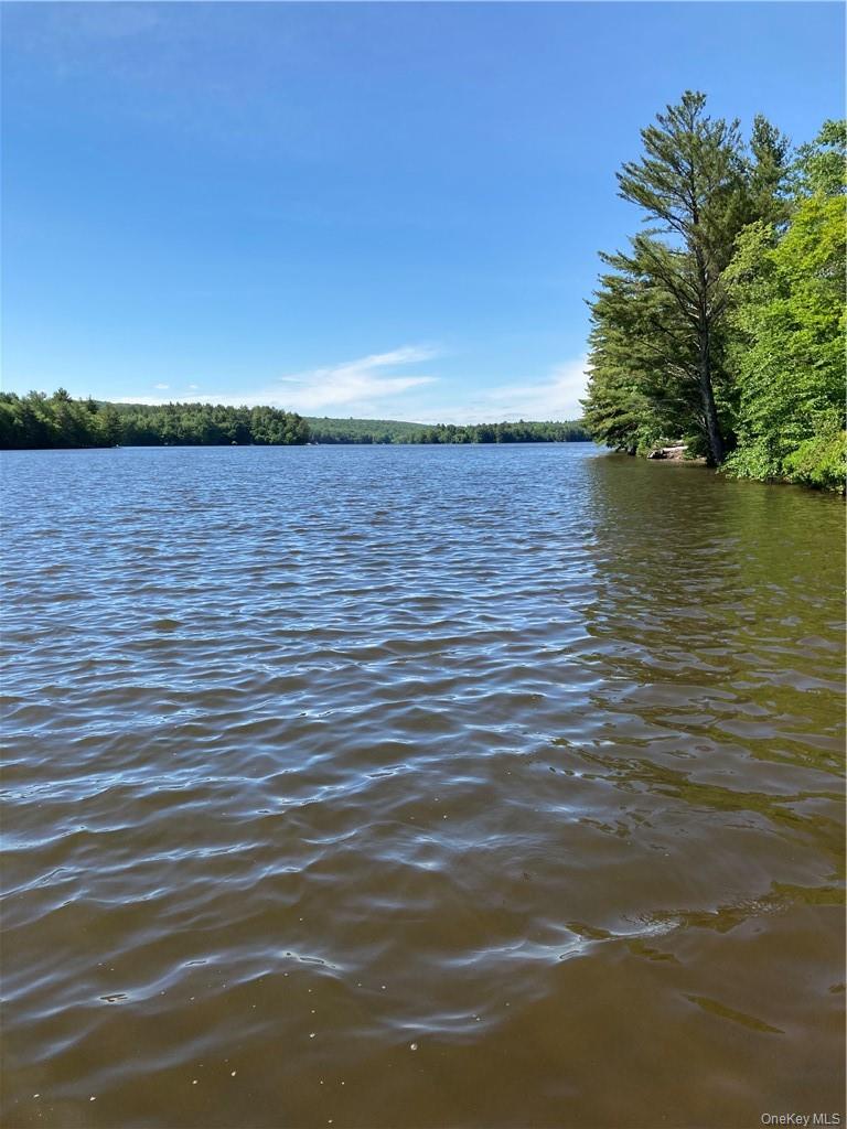 Plank Road  Forestburg New York – For Sale photo 2