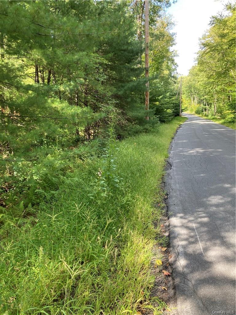 Plank Road  Forestburg New York – For Sale photo 7