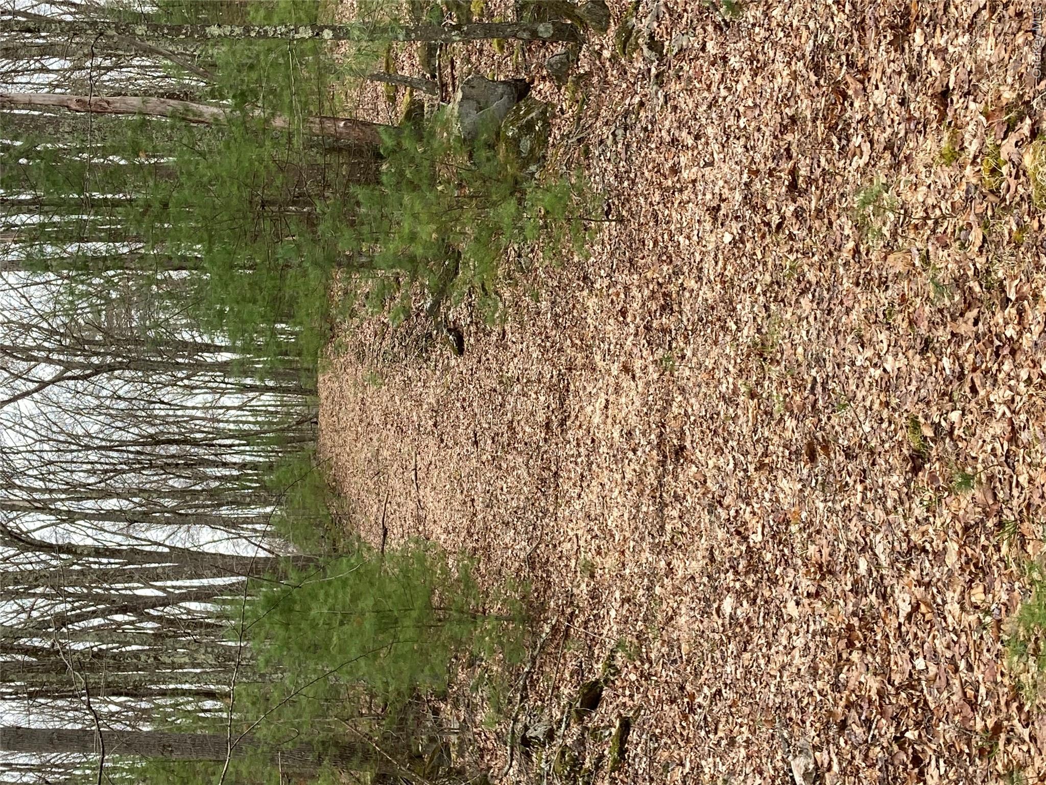 Plank Road  Forestburg New York – For Sale photo 10