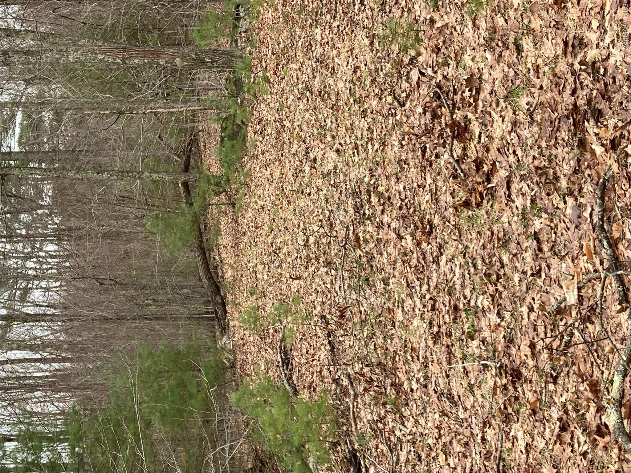 Plank Road  Forestburg New York – For Sale photo 13