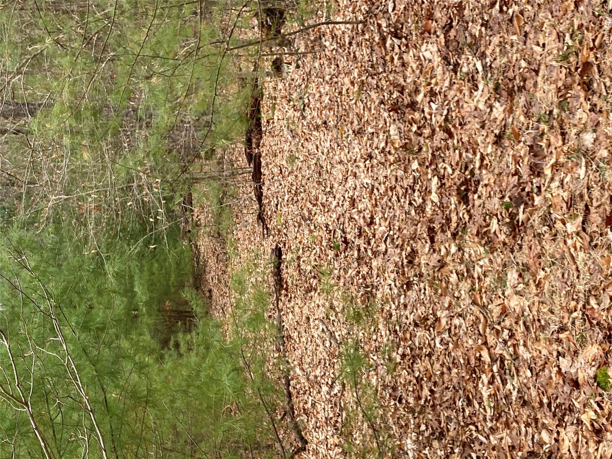 Plank Road Forestburg New York – For Sale photo 14