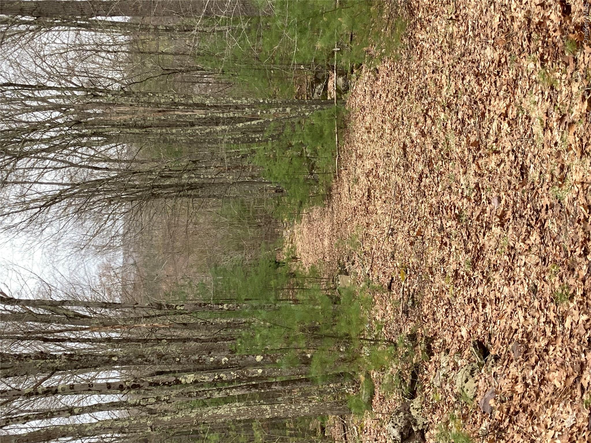 Plank Road  Forestburg New York – For Sale photo 12