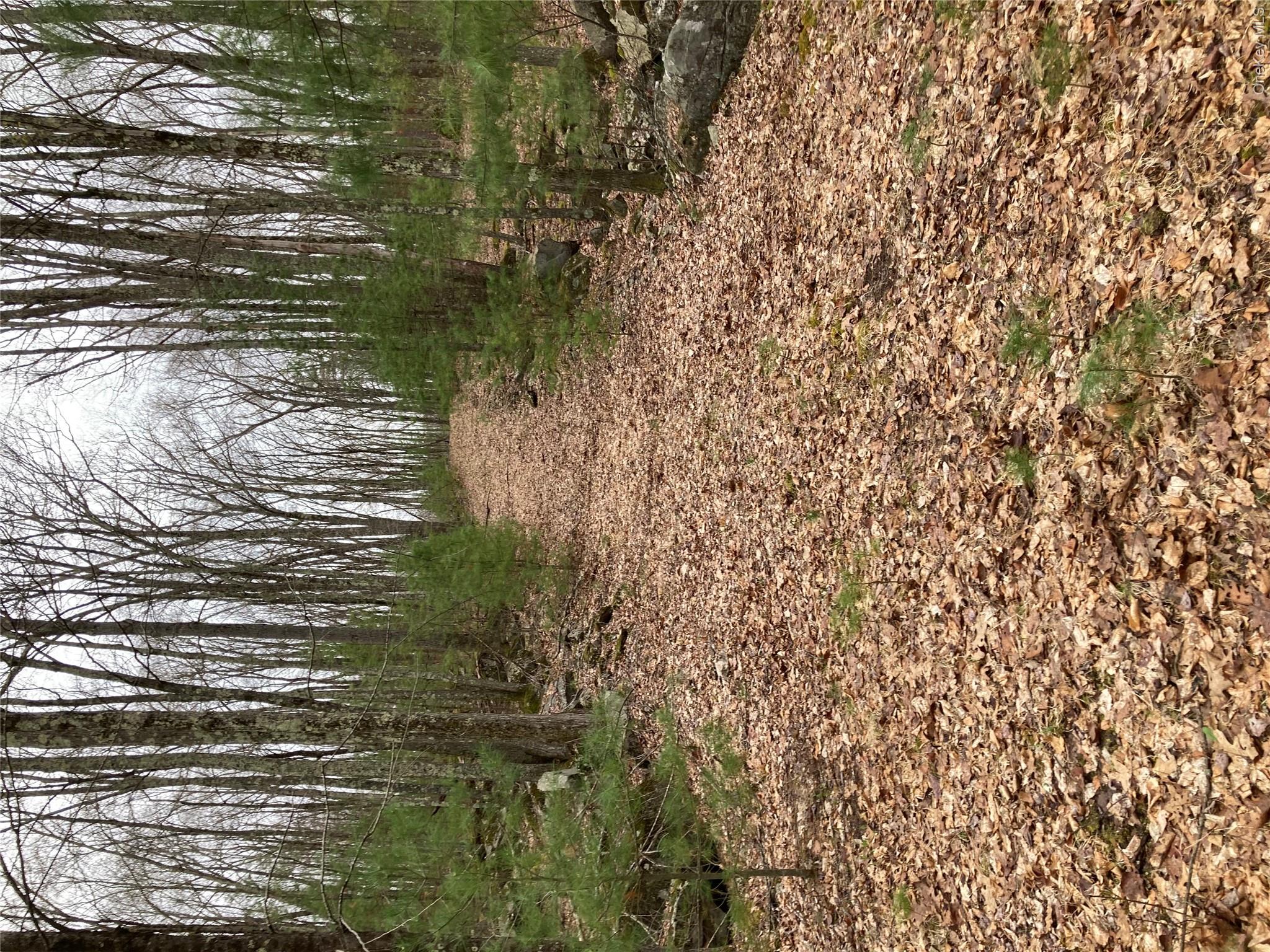 Plank Road  Forestburg New York – For Sale photo 9