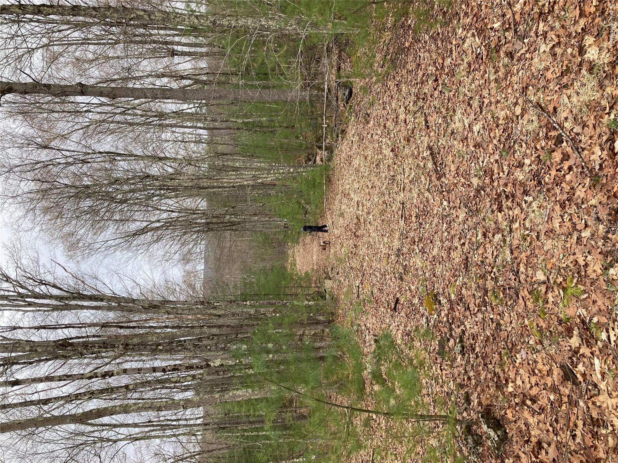 Plank Road  Forestburg New York – For Sale photo 8