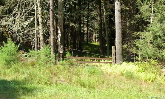 2199 State Route 42 – For Sale