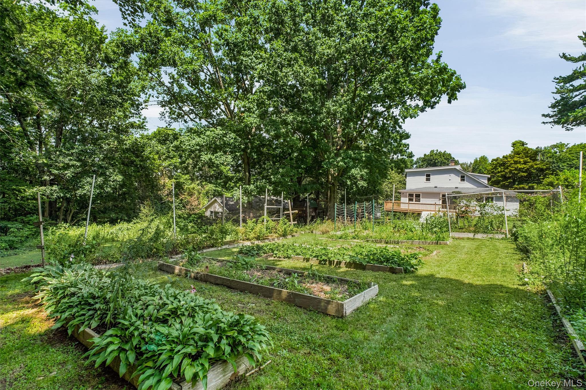 55 Ridge Avenue – For Sale photo 34