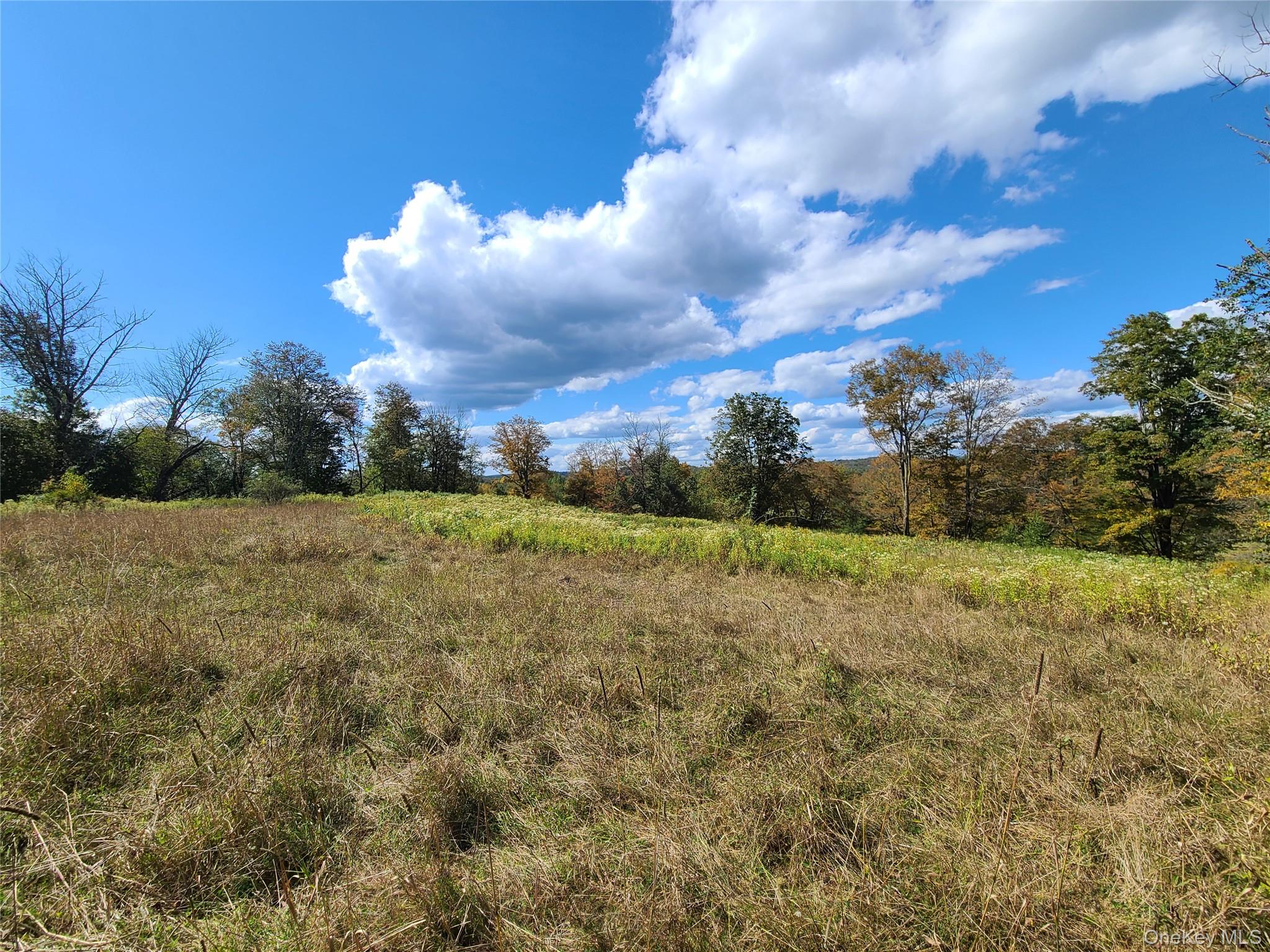 118 Hilltop Road – For Sale photo 28