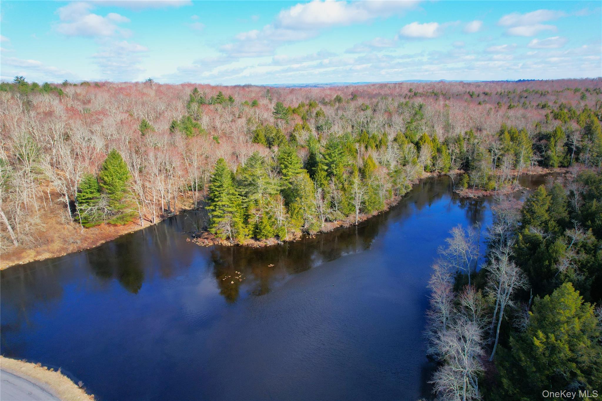 118 Hilltop Road – For Sale photo 4
