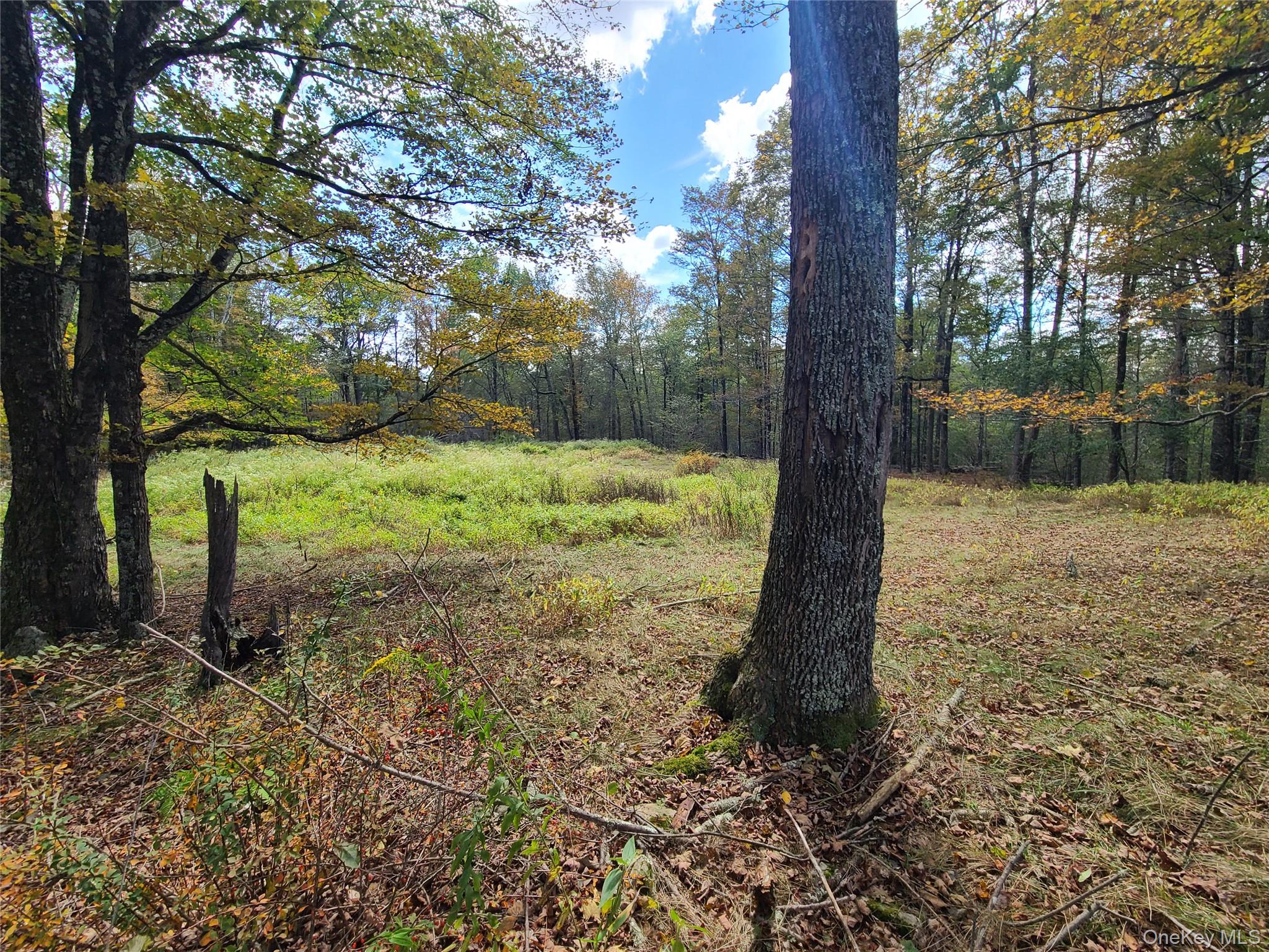 118 Hilltop Road – For Sale photo 13