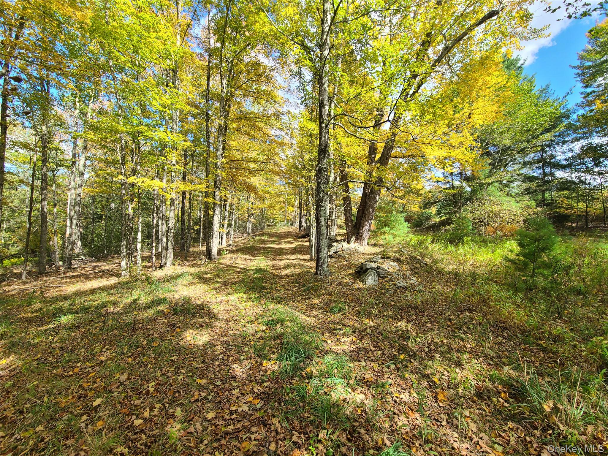 118 Hilltop Road – For Sale photo 22