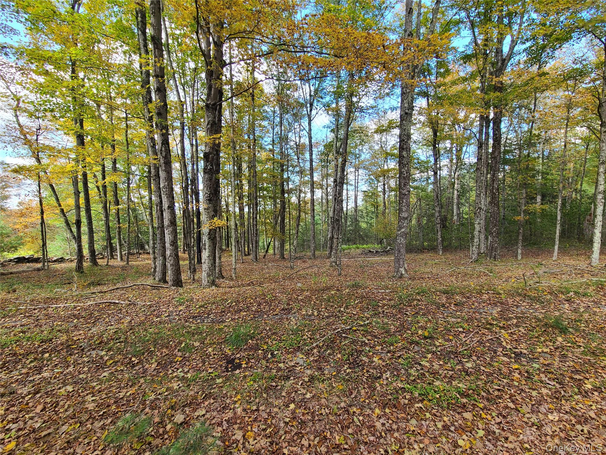 118 Hilltop Road – For Sale photo 24