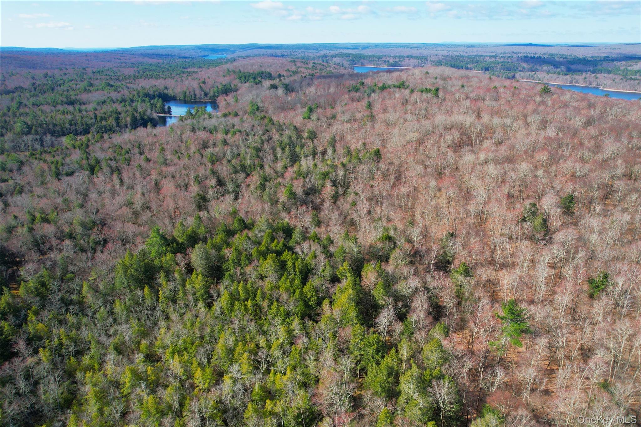 118 Hilltop Road – For Sale photo 44
