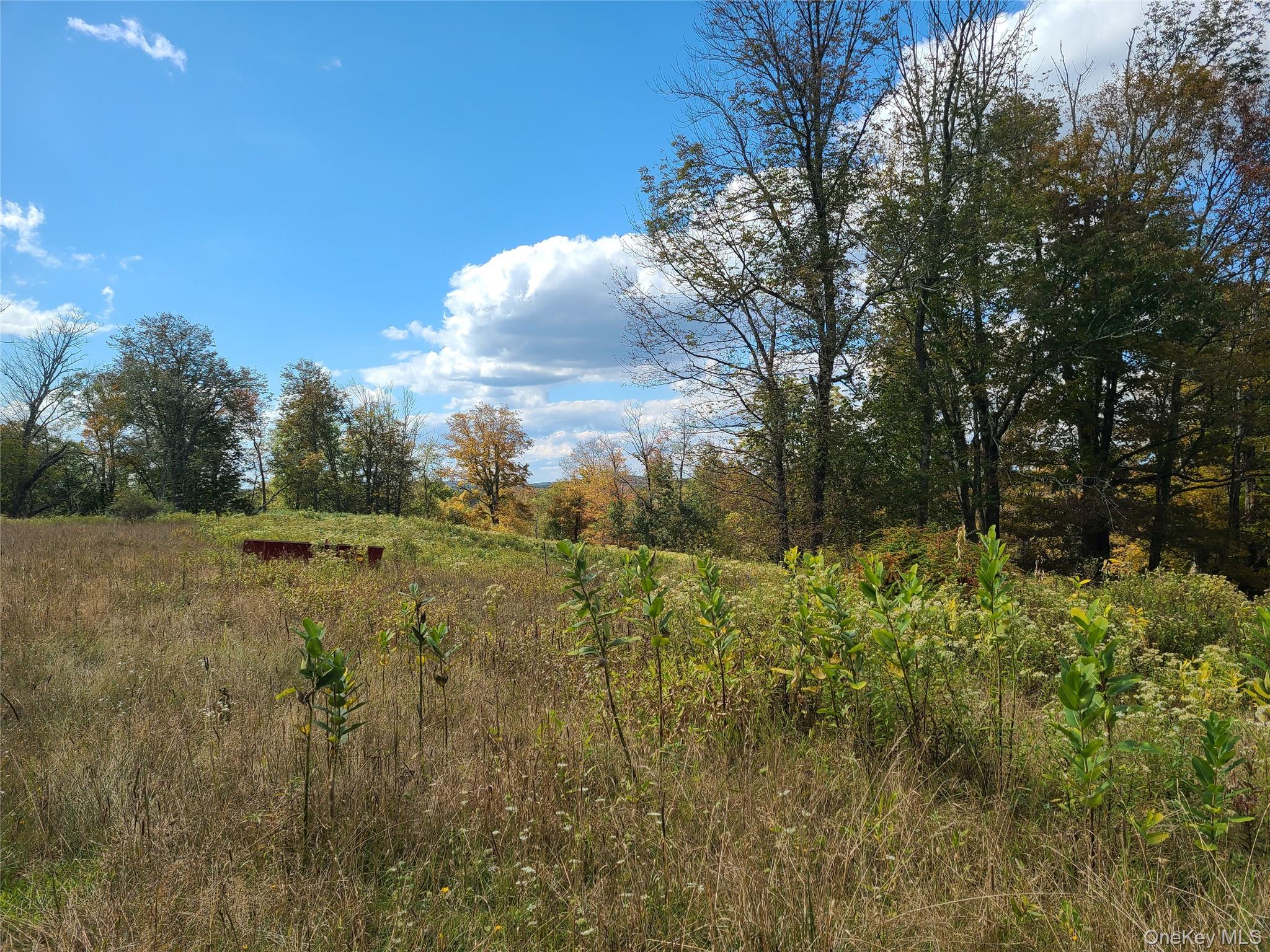 118 Hilltop Road – For Sale photo 19