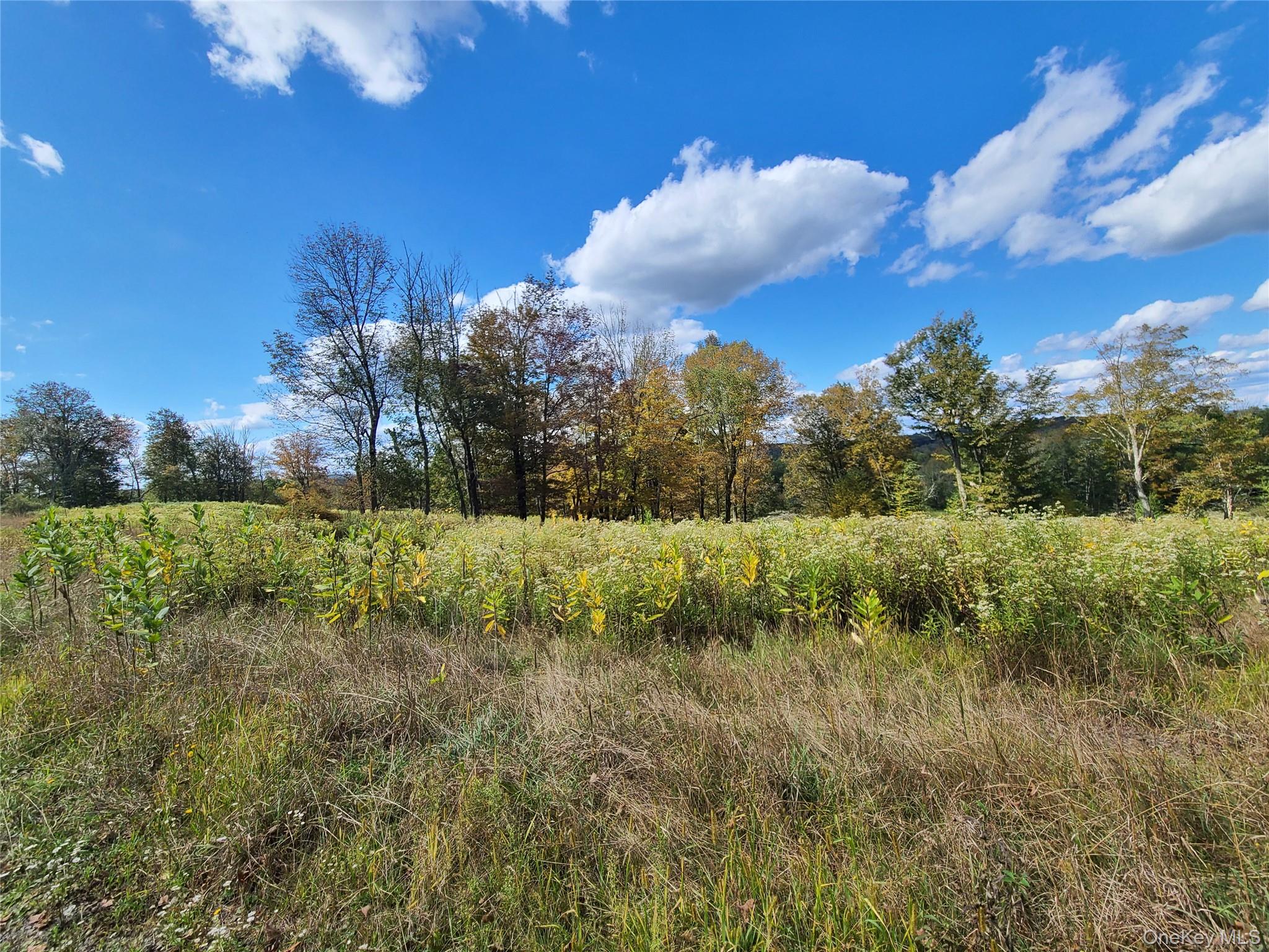 118 Hilltop Road – For Sale photo 21