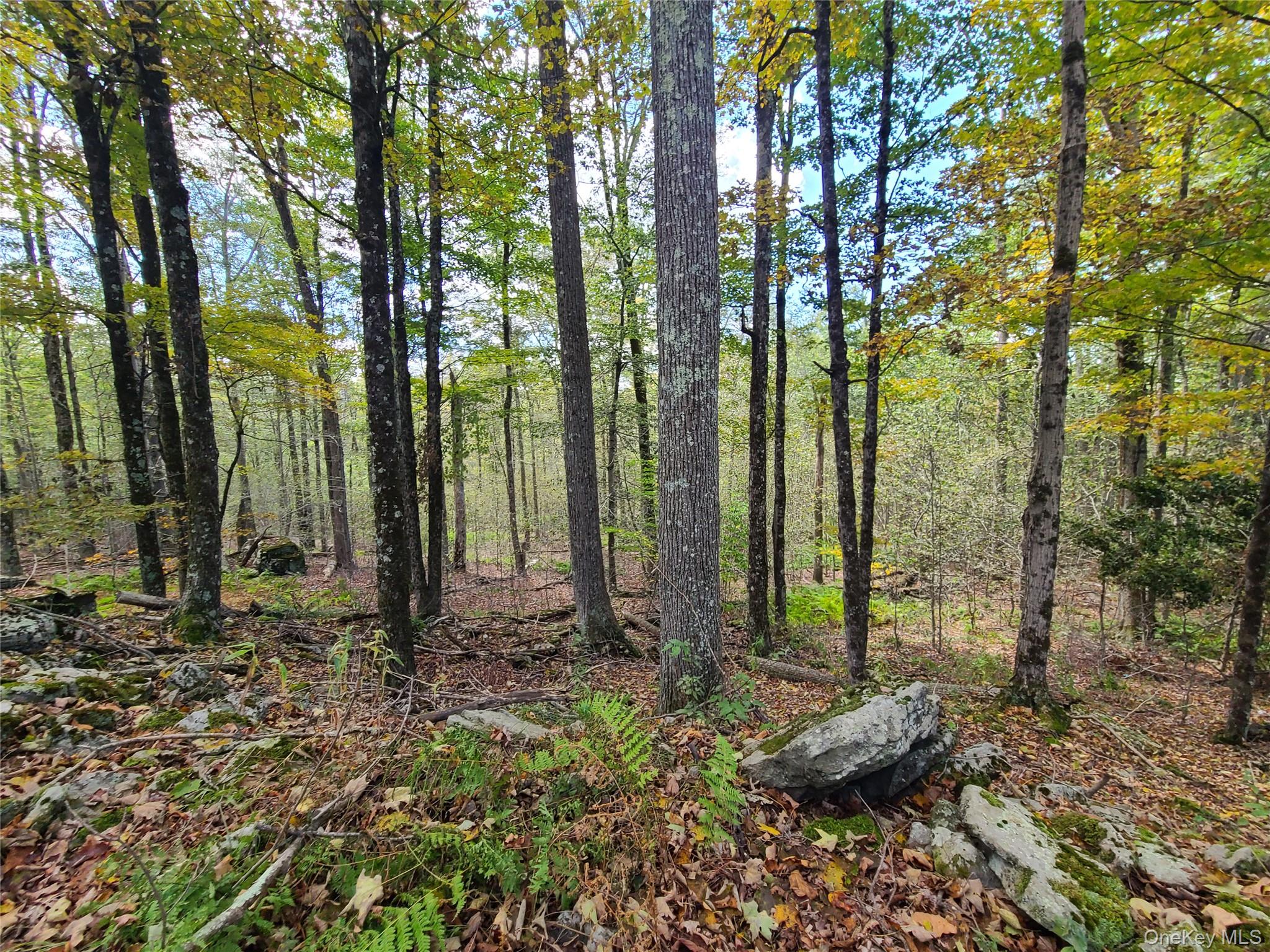 118 Hilltop Road – For Sale photo 14