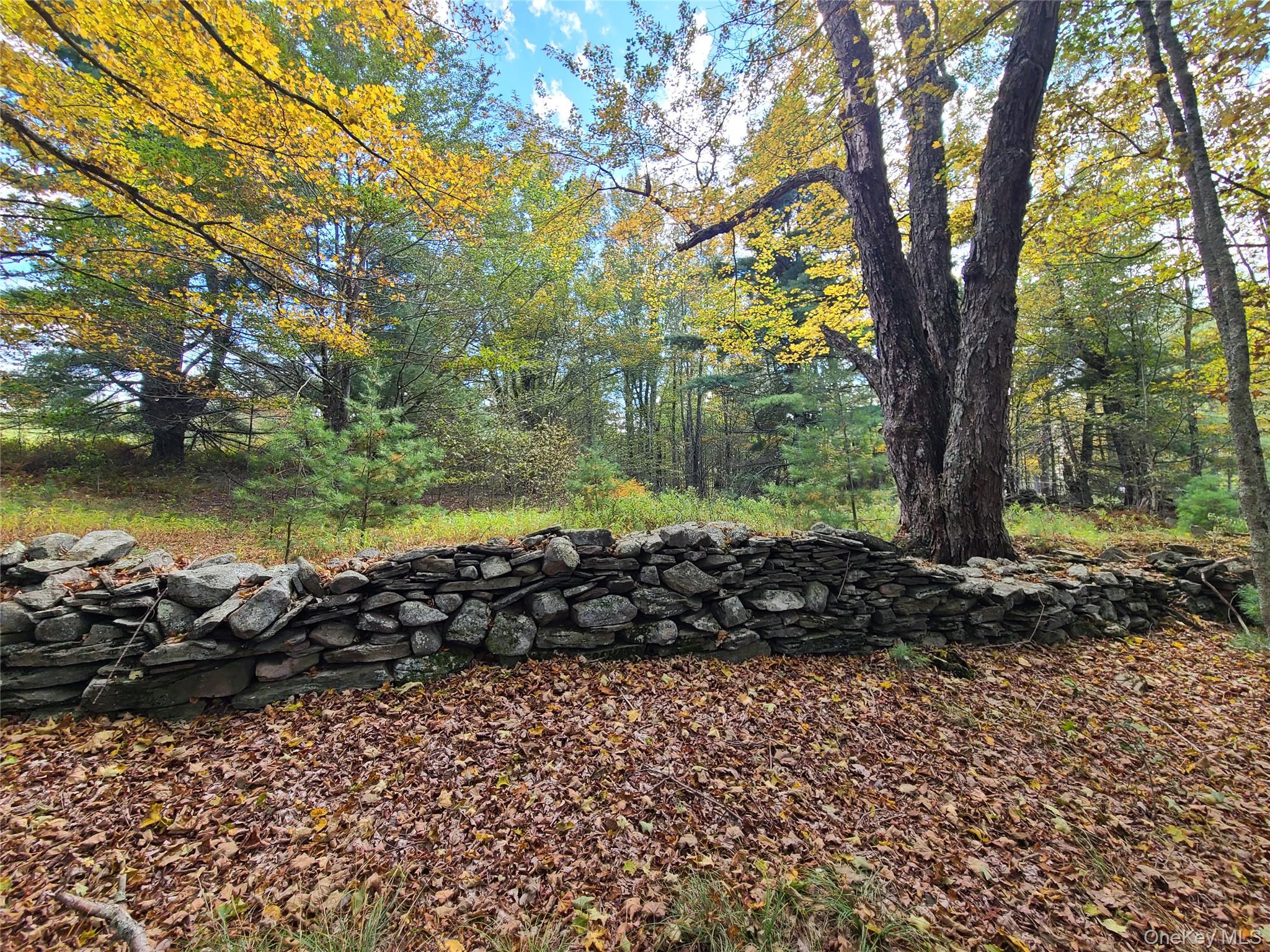 118 Hilltop Road – For Sale photo 23