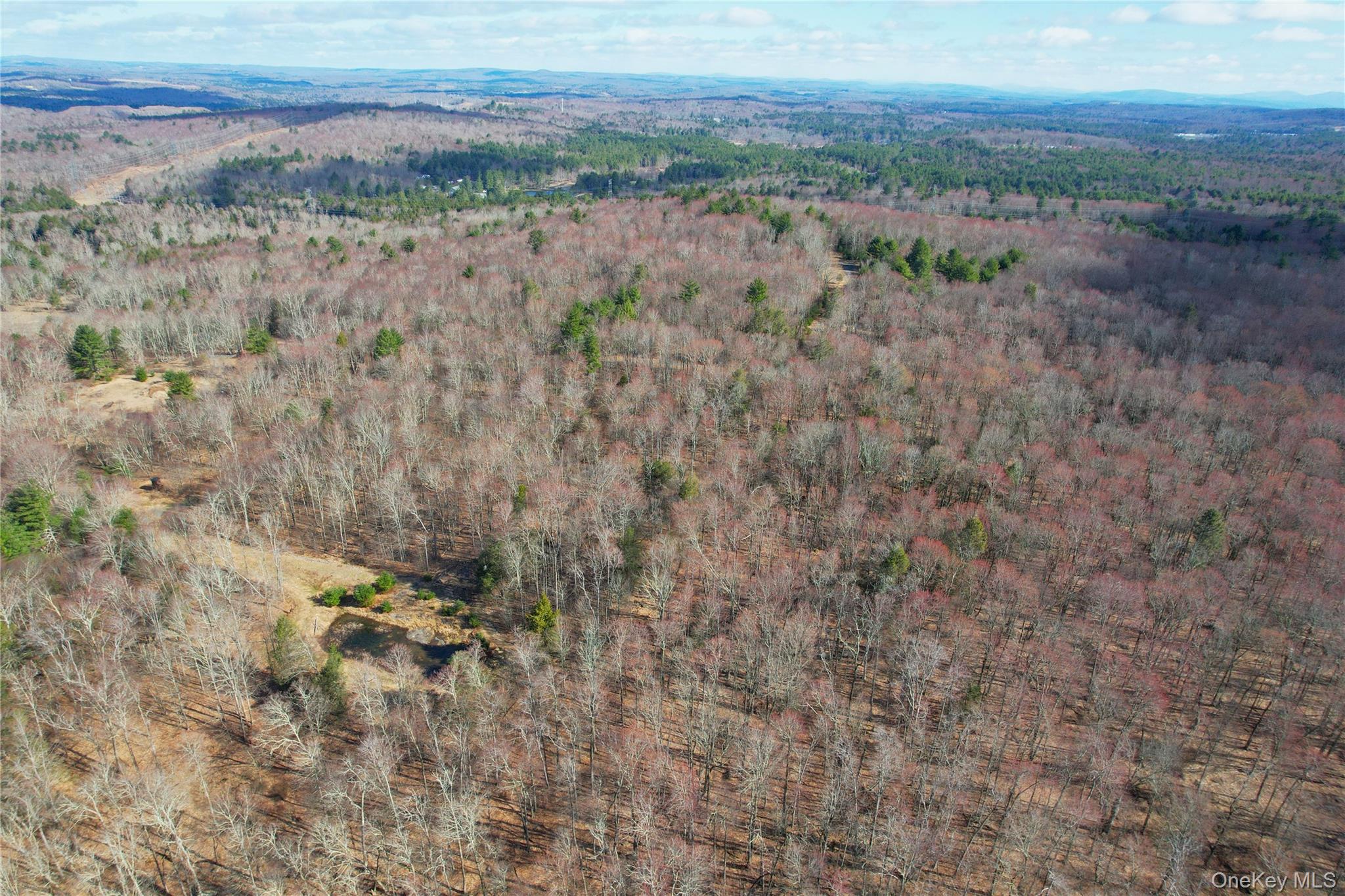 118 Hilltop Road – For Sale photo 50