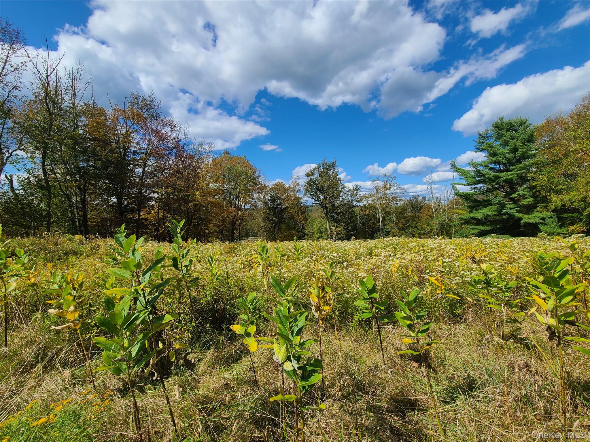 118 Hilltop Road – For Sale photo 27